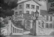 Betty Boop Cartoons