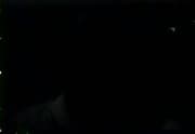 Night Tide (1961)