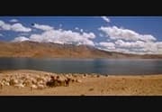 Samsara - Pan Nalin