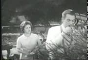 The Devil's Hand (1962)