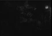 The Vampire Bat