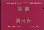 The Red Detachment of Women