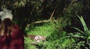 Die Liebesbriefe Einer Portugiesischen Nonne (1977)