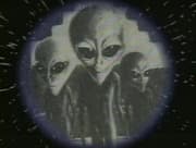 Feeders (1996)