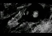 Giant Gila Monster, The