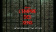 In The Realm Of The Senses