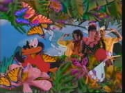 All Animated Video Capture and DVD Capture
