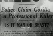 Gorilla, The