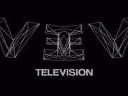 Wax, or The Discovery of Television Among the Bees (1991)